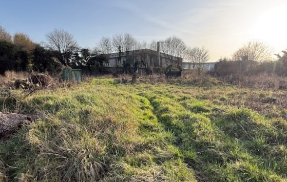 Development Potential in Thetford photo